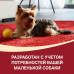 Purina Pro Plan - Корм для собак с говядиной и риом