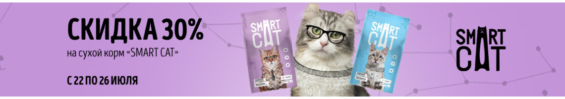 Smart_Cat