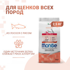 Monge - Корм для щенков мелких пород, лосось с рисом (dog speciality line monoprotein)